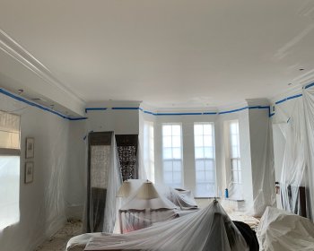 Crown Moulding & Plaster Repair